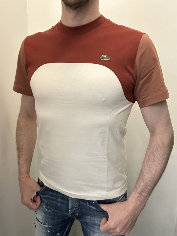 T-shirt lacoste - immagine 2