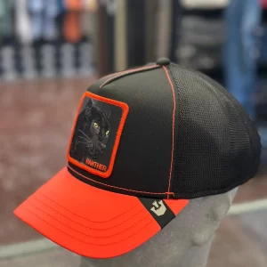 cappellino goorin bros panther black